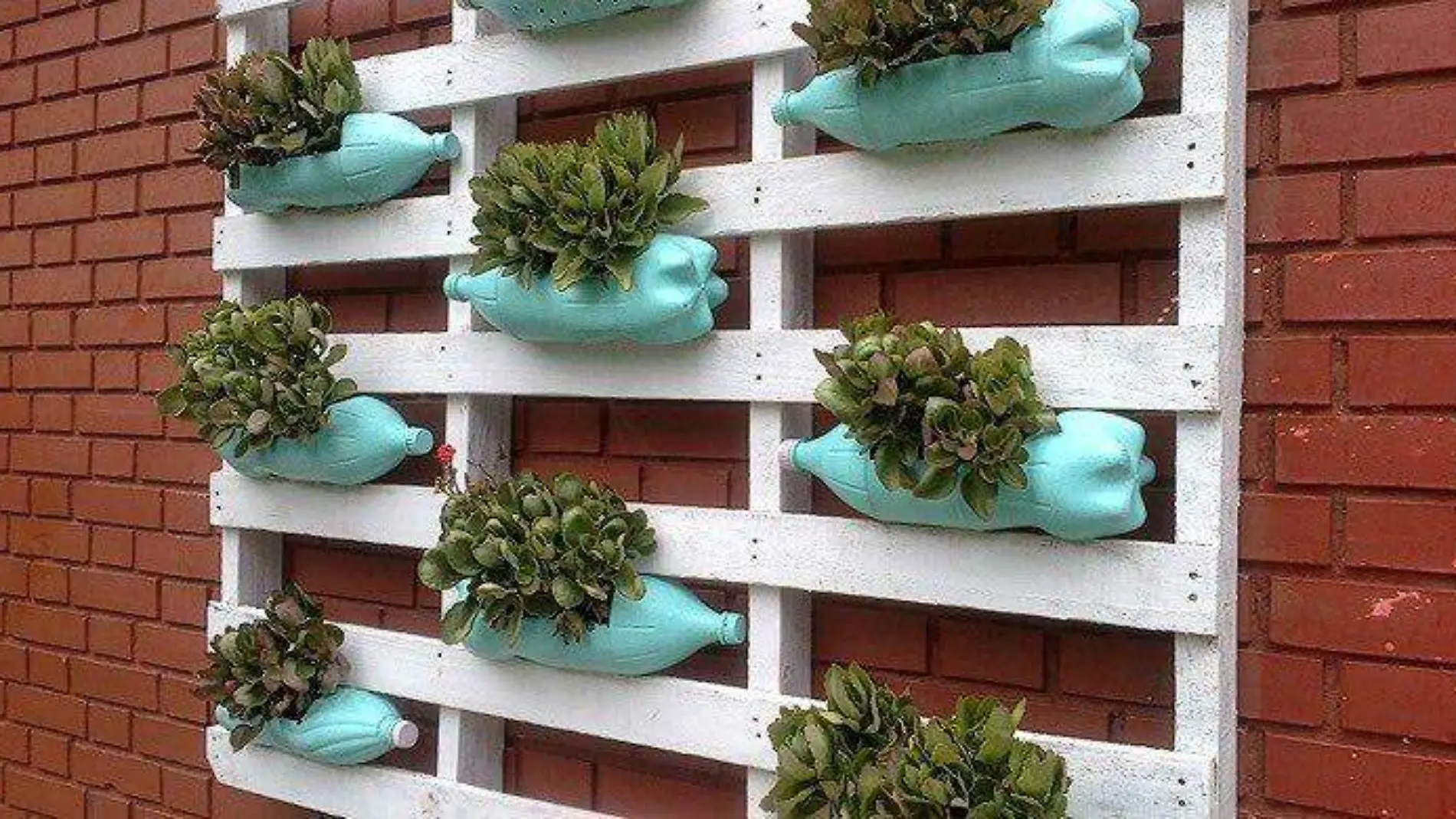 Jardin con botellas